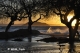 Όνομα αρχείου=DSC_0471_crp_cntr_Copyright_700_10_96dpi~0.jpg
Μέγεθος αρχείου=215KB
Διαστάσεις=700x469
Ημερομηνία προσθήκης=Οκτ 29, 2012 DSC_0471_crp_cntr_Copyright_700_10_96dpi~0.jpg