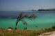 Όνομα αρχείου=DSC_0563_br_cntr_uns25_Copyright_700_10_96dpi.jpg
Μέγεθος αρχείου=150KB
Διαστάσεις=700x465
Ημερομηνία προσθήκης=Σεπ 25, 2015 DSC_0563_br_cntr_uns25_Copyright_700_10_96dpi.jpg