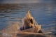 Όνομα αρχείου=DSC_1719_curves_cntr_Copyright_700_10_96dpi~0.jpg
Μέγεθος αρχείου=448KB
Διαστάσεις=700x465
Ημερομηνία προσθήκης=Δεκ 05, 2016 DSC_1719_curves_cntr_Copyright_700_10_96dpi~0.jpg