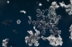 Όνομα αρχείου=DSC_2720_crp_cntr_curves_burn_Copyright_700_10_96dpi.jpg
Μέγεθος αρχείου=158KB
Διαστάσεις=700x465
Ημερομηνία προσθήκης=Ιαν 12, 2017 DSC_2720_crp_cntr_curves_burn_Copyright_700_10_96dpi.jpg