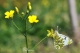 Όνομα αρχείου=DSC_4235_crp2_curves_Copyright_700_10_96dpi.jpg
Μέγεθος αρχείου=117KB
Διαστάσεις=700x465
Ημερομηνία προσθήκης=Mαρ 26, 2017 DSC_4235_crp2_curves_Copyright_700_10_96dpi.jpg