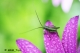 Όνομα αρχείου=DSC_8490_br_cntr_clr_uns25_Copyright_700_10_96dpi.jpg
Μέγεθος αρχείου=112KB
Διαστάσεις=700x465
Ημερομηνία προσθήκης=Mαρ 14, 2013 DSC_8490_br_cntr_clr_uns25_Copyright_700_10_96dpi.jpg