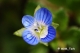Όνομα αρχείου=DSC_8607_crp_clrblnc_cntr_uns25_Copyright_700_10_96dpi.jpg
Μέγεθος αρχείου=105KB
Διαστάσεις=700x465
Ημερομηνία προσθήκης=Mαρ 13, 2013 DSC_8607_crp_clrblnc_cntr_uns25_Copyright_700_10_96dpi.jpg