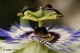 Όνομα αρχείου=DSC_8997_crp_clone_br_cntr_Copyright_700_10_96dpi.jpg
Μέγεθος αρχείου=114KB
Διαστάσεις=700x465
Ημερομηνία προσθήκης=Οκτ 24, 2014 DSC_8997_crp_clone_br_cntr_Copyright_700_10_96dpi.jpg