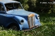 Όνομα αρχείου=DSC_9715_cntr_sponge_unsharpmask25_Copyright_700_8_96dpi.jpg
Μέγεθος αρχείου=159KB
Διαστάσεις=700x465
Ημερομηνία προσθήκης=Mαι 21, 2012 DSC_9715_cntr_sponge_unsharpmask25_Copyright_700_8_96dpi.jpg