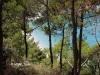 Όνομα αρχείου=IMGP2015_2_Copyright_700_9.jpg
Μέγεθος αρχείου=226KB
Διαστάσεις=700x525
Ημερομηνία προσθήκης=Noε 07, 2009 IMGP2015_2_Copyright_700_9.jpg