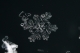 Όνομα αρχείου=MRM_0056_crp_lev_cntr_uns_Copyright_700.jpg
Μέγεθος αρχείου=65KB
Διαστάσεις=700x466
Ημερομηνία προσθήκης=Ιαν 13, 2019 MRM_0056_crp_lev_cntr_uns_Copyright_700.jpg