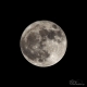 Όνομα αρχείου=MRM_4908_crp_lev_unshmsk_Copyright_700.jpg
Μέγεθος αρχείου=38KB
Διαστάσεις=700x700
Ημερομηνία προσθήκης=Δεκ 04, 2017 MRM_4908_crp_lev_unshmsk_Copyright_700.jpg