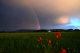 Όνομα αρχείου=MRM_5091_clrblc_lev_Copyright_700.jpg
Μέγεθος αρχείου=68KB
Διαστάσεις=700x467
Ημερομηνία προσθήκης=Mαι 08, 2019 MRM_5091_clrblc_lev_Copyright_700.jpg