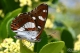Όνομα αρχείου=MRM_6885_crp_lev_dodge_Copyright_700.jpg
Μέγεθος αρχείου=84KB
Διαστάσεις=700x467
Ημερομηνία προσθήκης=Ιουλ 21, 2018 MRM_6885_crp_lev_dodge_Copyright_700.jpg